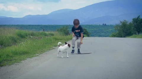 Boy and Dog Walking Stock Footage 63394924