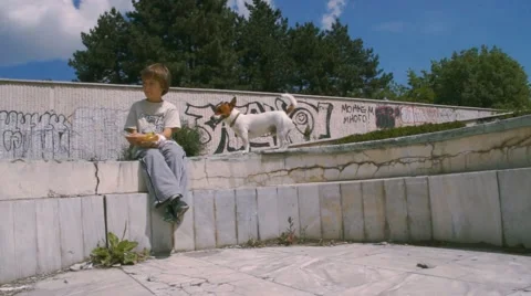 Boy and Dog Walking Stock Footage 63425413
