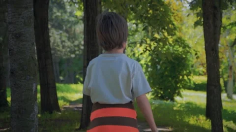 Boy and Dog Walking Stock Footage 63431279