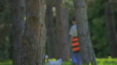 Boy and Dog Walking Stock Footage 63431282