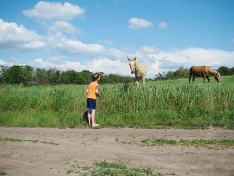 Boy and foal Foto stock