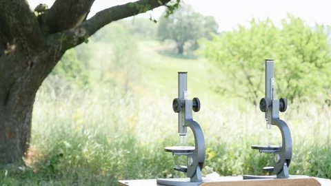 Boy and girl looking through microscope Stock Footage