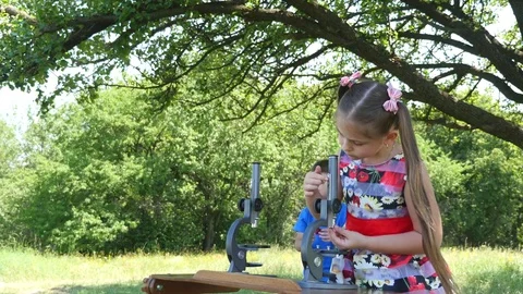 Boy and girl looking through microscope on the nature Stock Footage