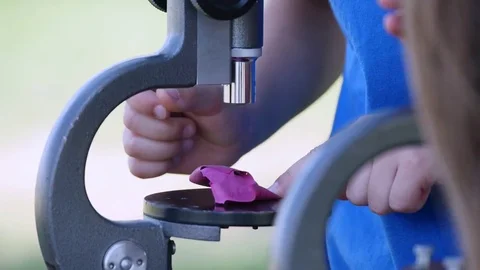 Boy and girl looking through microscope on the nature Stock Footage