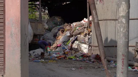 Boy and hens digging among the garbage. Stock Footage 132112150