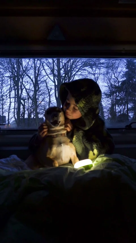 Boy and his dog inside a motorhome at night Stock Footage 265757411