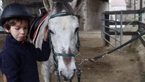 Boy and horse Stock Footage 83332983