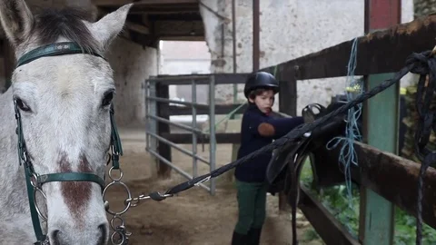 Boy and horse Stock Footage 83333009
