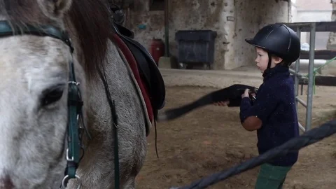 Boy and horse Stock Footage 83333019