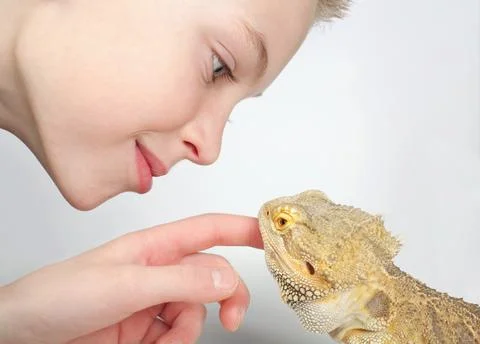 Boy and lizard Stock Photos