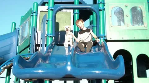 Boy and Puppy Down Slide Together Video stock 12571604