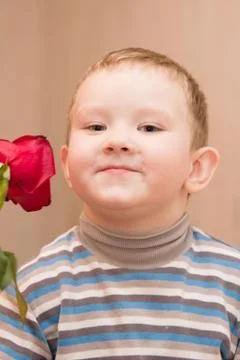 Boy and rose Stock Photos