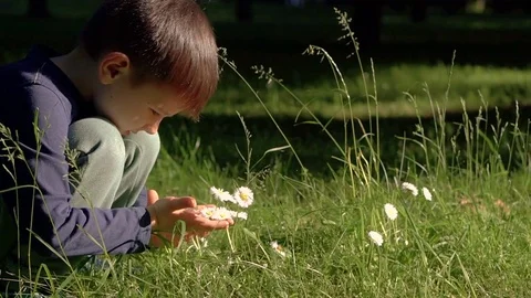 Boy and wildflowers 動画素材 81632176