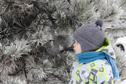 Boy and winter Stock Photos