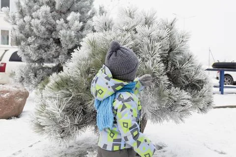 Boy and winter Stock Photos