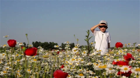 Boy appeared in Daisies Stock Footage 51237660