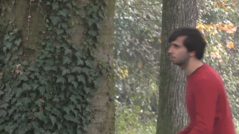 Boy Approaches Tree and Looks Beyond Video stock 87203057