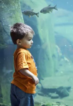 Boy at the aquarium. Stock Photos