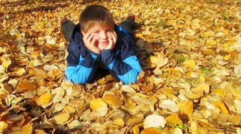 Boy in autumn park Видео 8915724