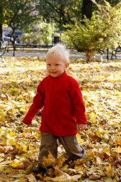Boy in autumn Stock Photos