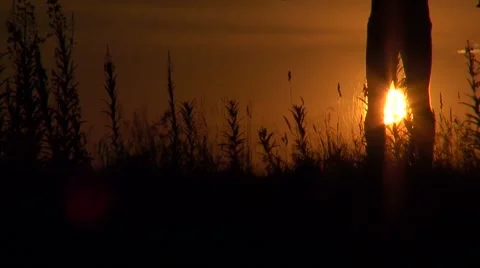The boy on the backdrop of the setting sun Video stock 7753329