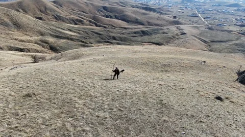 Boy with a backpack and a stick climbs the hill Video stock 105027500