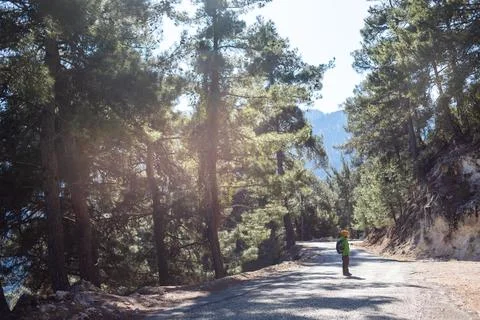 Boy with a backpack in the forest. The child is standing in the middle of the Stock Photos