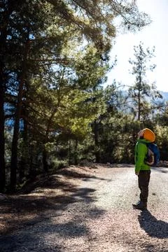 Boy with a backpack in the forest. The child is standing in the middle of the Stock Photos