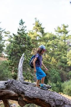 Boy with backpack in the forest. trekking with child. Stock Photos