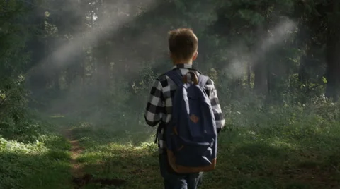 Boy with backpack goes to the forest Stock Footage 69001522
