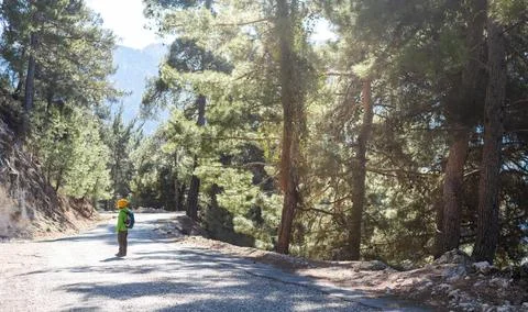 A boy with a backpack in the middle of a forest road, a child is exploring wi Stock Photos