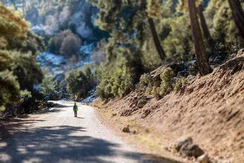 A boy with a backpack in the middle of a forest road, a child is exploring wi Stock Photos