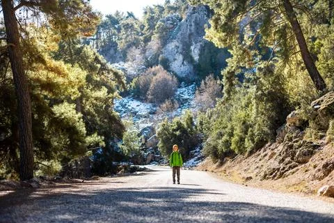 A boy with a backpack in the middle of a forest road, a child is exploring wi Stock Photos
