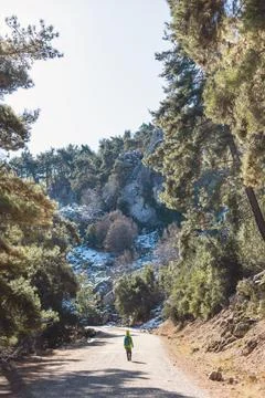 A boy with a backpack walks alone along a forest road, a child explores wildl Stock Photos