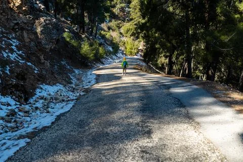 A boy with a backpack walks alone along a forest road, a child explores wildl Stock Photos