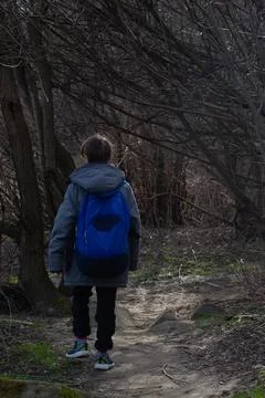 A boy with a backpack walks along a trail among the trees Stock Photos