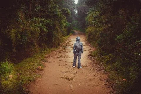 Boy with backpack walks on a road 스톡 사진