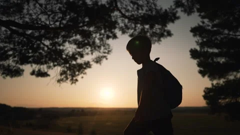 Boy with backpack walks in silhouette at sunset under pine trees outdoors. Child Stock Footage 346785798