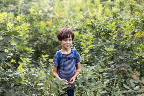 A boy with a backpack walks through the forest, a child explores wildlife, a  Stock Photos