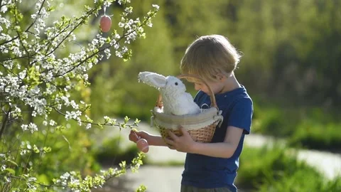 Boy with basket with white toy rabbit during hunt for easter eggs on Ester day Stock Footage 147462836