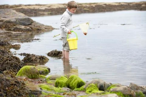 Boy on beach collecting shells Foto stock