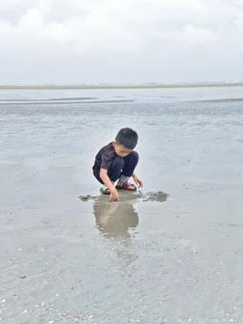 Boy at the beach Stock Photos