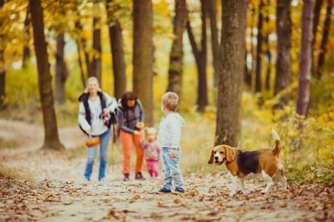 Boy with beagle Foto stock