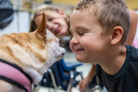 A boy is being licked in the face by a small dog. Stock Photos