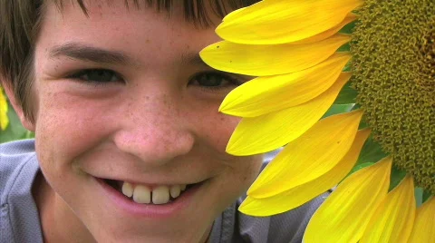Boy Beside Sunflower Stock Footage 101911