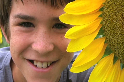 Boy Beside Sunflower Stockbeeldmateriaal 2741173