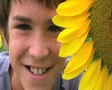 Boy Beside Sunflower SD Footage