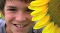Boy Beside Sunflower HD Footage