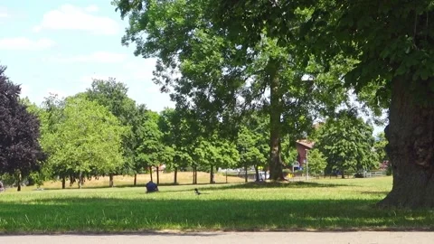 Boy bicycle park Stock Footage 131974873