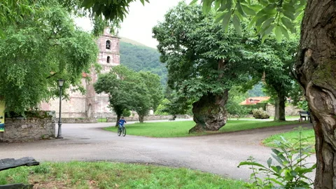 Boy on bike Stock Footage 202645813